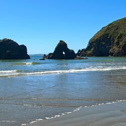 Küste vor den Pinguin-Inseln