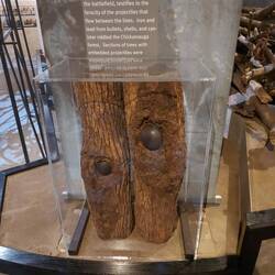 Kanonenkugeln in Baumstämmen.