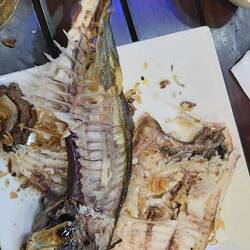 Und nochmal der Pomfret