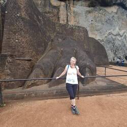 Auf dem Weg zum Lion Rock
