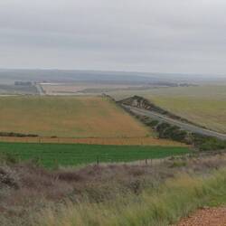 Reben, Früchte .........