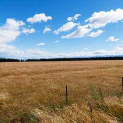 Burkes Pass