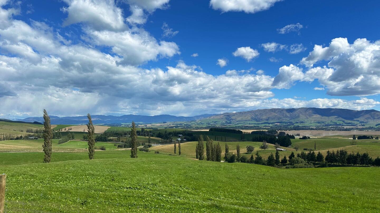 Aussicht Mackenzie District