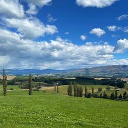 Aussicht Mackenzie District