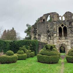 Wenlock Priory; topiary in the cloister garden