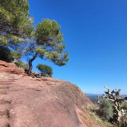 Gemeinsam geht es weiter.