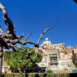 Zurück in Mont-roig.