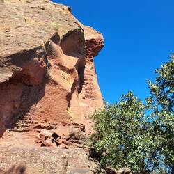 Fast wie im Pfälzer Wald. 😉