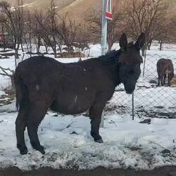 Wir versuchen zu organisieren. Derweil bleibt nur eine Wanderung.