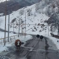 Dann geht's ins Sno Tal. Hier wird alles sehr ursprünglich.