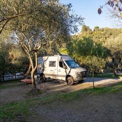 Ein Plätzchen unter Olivenbäumen 🥰