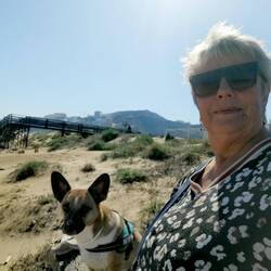 Warten auf Herrchen, der erntet noch Mandarinen, hoffentlich