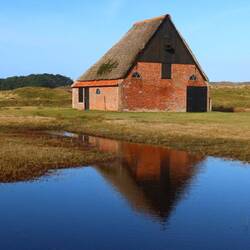 Die typischen Schafställe auf Texel.