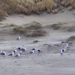 Mittagspause oder Beratung?
