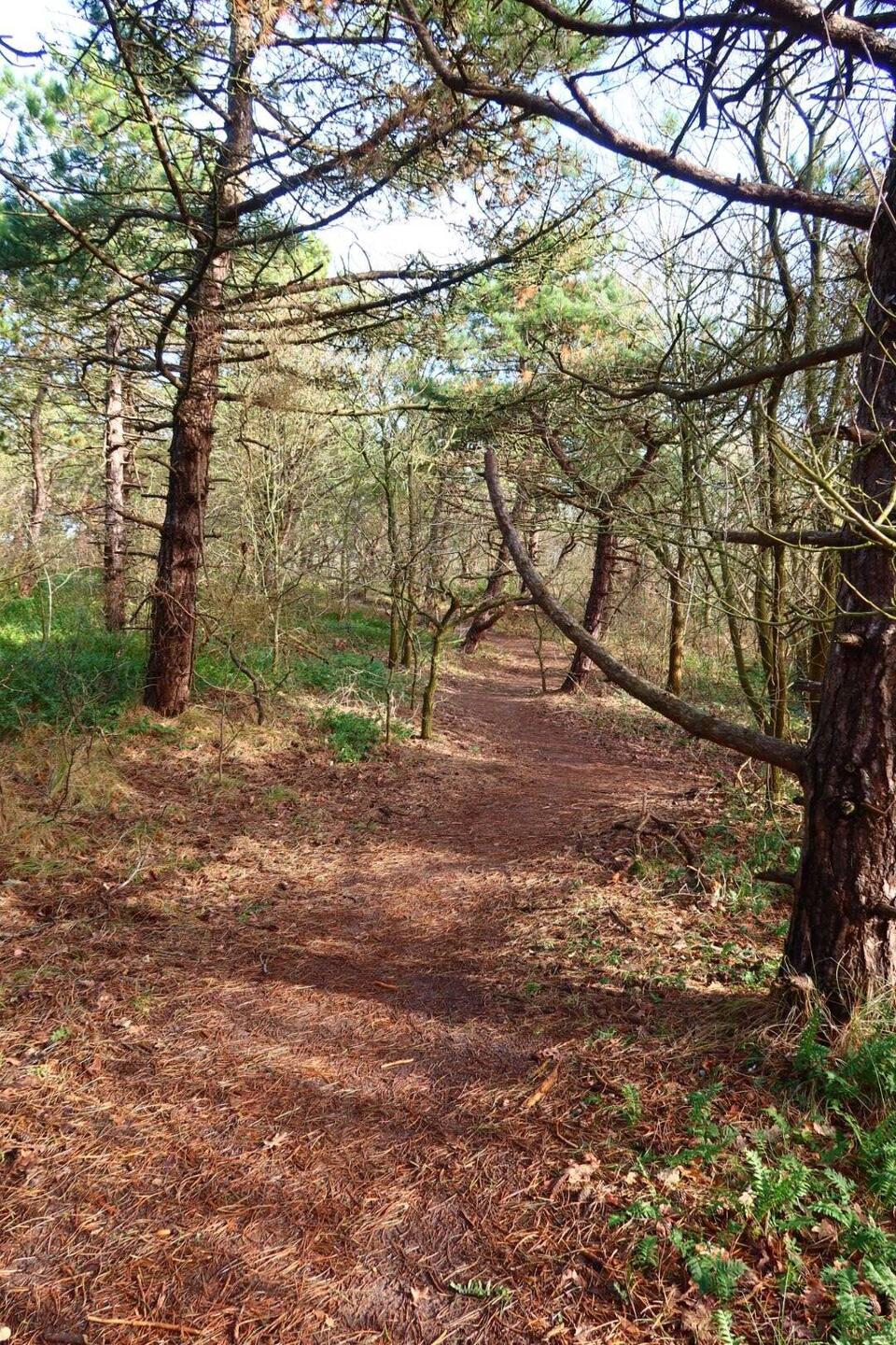 Ein schöner Wanderweg zu de Muy.