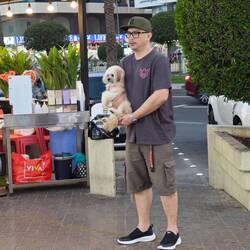 Das ist erst der dritte Hund, den wir in den VAE sehen. Bronzemedaille.