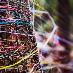 Tree trunk woven with votive threads on the way up to St. George Monastery — Büyükada, Türkiye.
