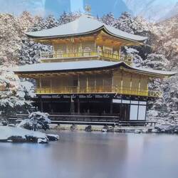 Ich hätte es so gerne im Schnee gesehen.