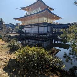 Sieht aber auch so gut aus.