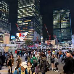 Shibuya Crossing - Crazy