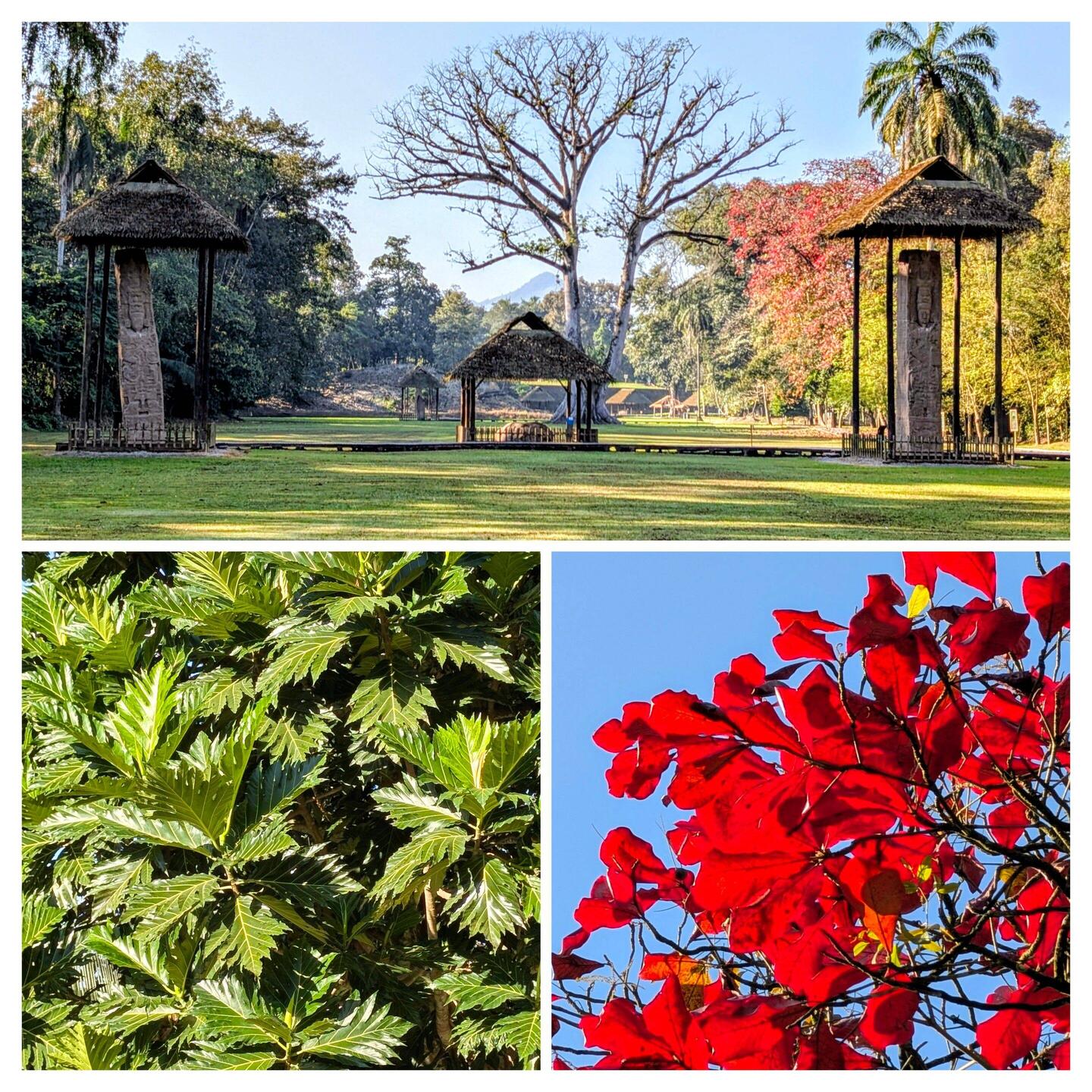 In der Maya- Stätte Quirigua