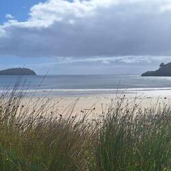 Maori Beach...