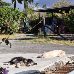 Man könnte einfach in der Sonne liegen