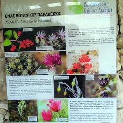 Der Botanische Garten ist einen Rundgang wert.