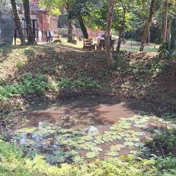 Un trou fait par un obus ?