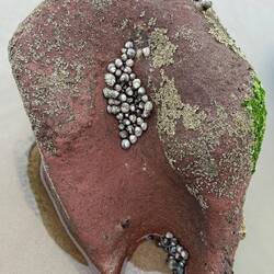 Mit lustigen Muscheln drin...