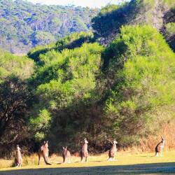 Toll, sie so im Freien beobachten zu können