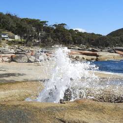 Not much action today