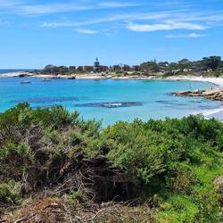 Pretty spot to enjoy lunch