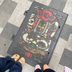 True manhole cover lovers!