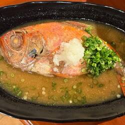 dann kommt noch ein Fisch