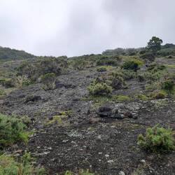 und Steine, ständig wechselnder Untergrund