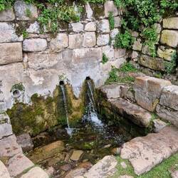 Der Jungbrunnen ....