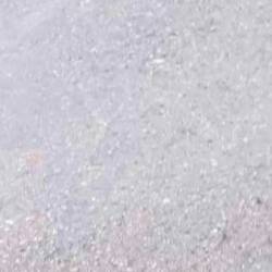 Die Startformation!!