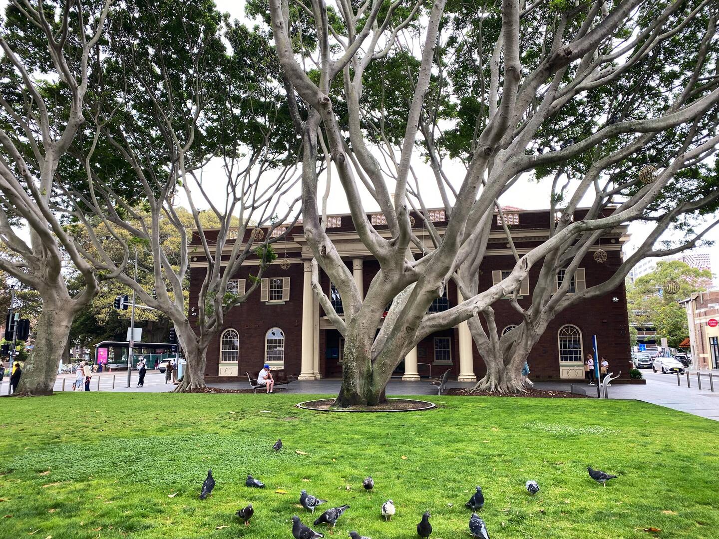 Manly Town Hall mit tollen Bäumen davor