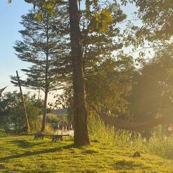 Golden hour by the river. This natural evening light is just perfect! 🌅
