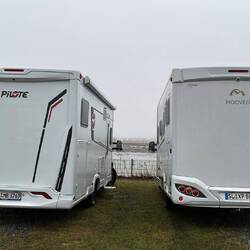 Zwei aus demselben Stall❣️