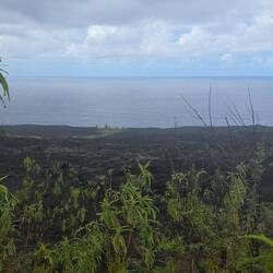 Die Lava geht bis ans Meer