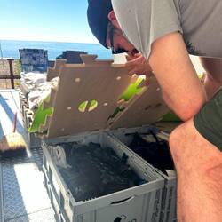 So langsam wissen wir, wo was ist.