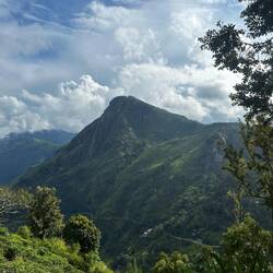 Aussicht vom Little Adams Peak