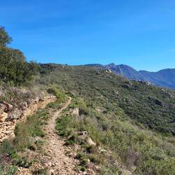 Der Weg zieht und zieht sich.