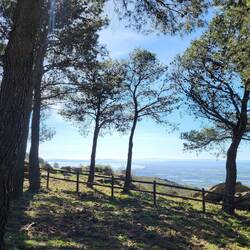 Großes Picknickgelände, auch mit dem Auto erreichbar.