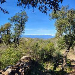 Schöner Blick zu den Pyrenäen.