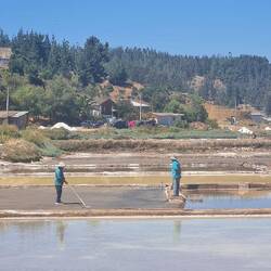 Salzgewinnung wie in der Bretagne per Hand bei Lo Valdivia.