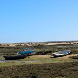 Ria Formosa bei Ebbe