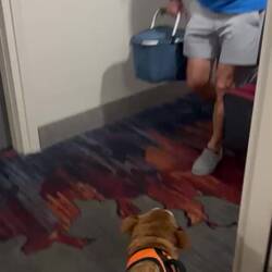 Svenja war vor uns im Hotel ...